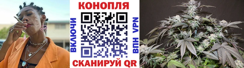 Бошки Шишки семена Лабытнанги