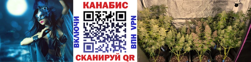 Бошки марихуана индика  где купить наркоту  Лабытнанги 